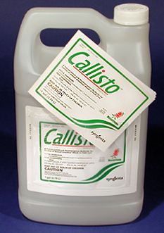 Büyük Buklet Etiketler